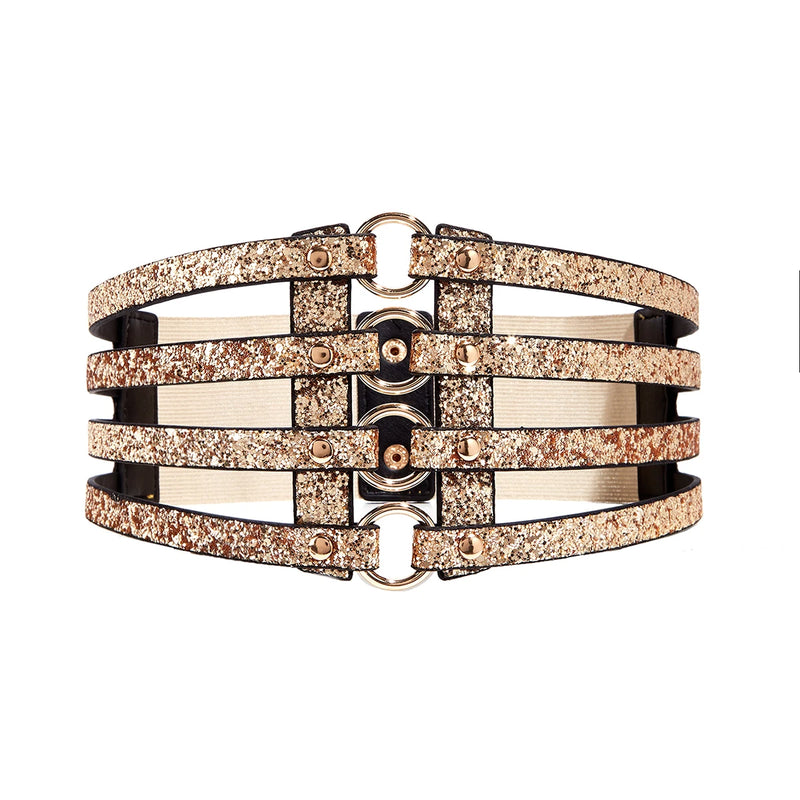 Wide Belt - Silver, Gold